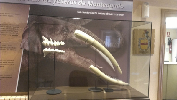 Yacimiento de Las Yeseras de Monteagudo