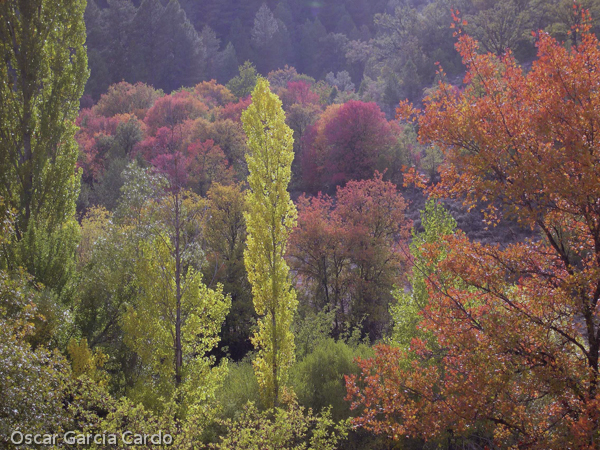 Parque Natural de la SerranÃa de Cuenca