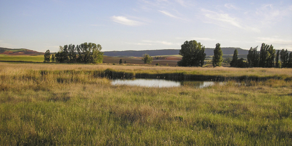 Reserva Natural Complejo lagunar de Ballesteros