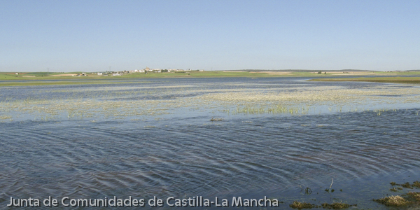 Reserva Natural de la Laguna de El Hito