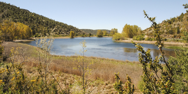 Reserva Natural de la Laguna del Marquesado