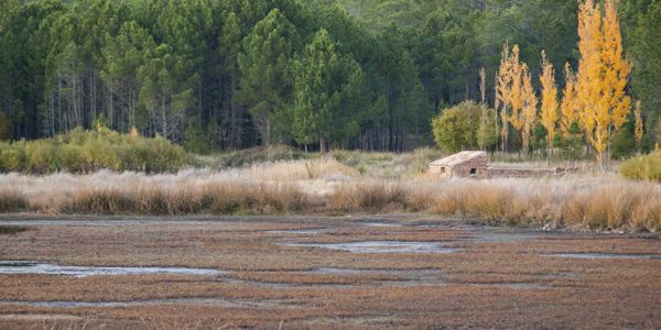 Microrreserva de la Laguna de Talayuelas