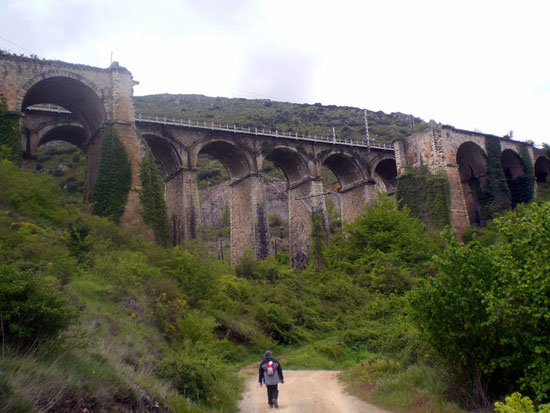Camino de Santiago. VÃa de Bayona a su paso por La Bureba